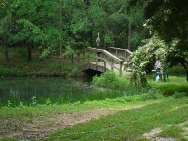 Ad# 3438 lake house for rent on LakeHouseVacations.com