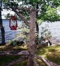 lake vacations rentals