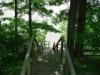 Lakehouse Vacation Rental - Lake Homes for rent on LakeHouseVacations.com, Lake property, Lake House Lake House Vacation 4br Lake Cabin For Rent, Raccoon Lake, Indiana, Looking Down Steps towards lake, on Raccoon in Indiana - Lakehouse Vacation Rental - Lake Home for rent on LakeHouseVacations.com