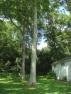 Lakehouse Vacation Rental - Lake Homes for rent on LakeHouseVacations.com, Lake property, Lake House Lake House Connecticut Vacation Rental, Waterfront Cottage Ashford Lake, Private, shady side yard, on Ashford Lake in Connecticut - Lakehouse Vacation Rental - Lake Home for rent on LakeHouseVacations.com