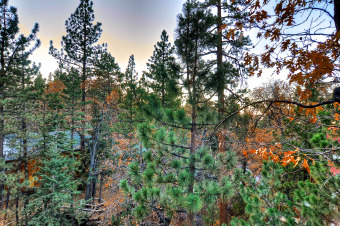 Lake House Dreamscape Villa backs ot the forest! Spa, pool table!, , on Big Bear Lake in California - Lakehouse Vacation Rental - Lake Home for rent on LakeHouseVacations.com