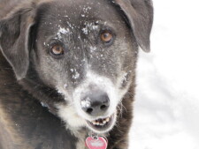 Lake House Relaxing Lakefront Cabin W/ Private Beach, Dock, 4 Boats, Sauna, Dog Friendly!!!, THANKS FOR LOOKING!!!, on Lake Carobeth in Pennsylvania - Lakehouse Vacation Rental - Lake Home for rent on LakeHouseVacations.com
