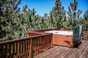 Lake House Private HOT TUB! 5 STAR with Ski Slope Views, AMAZING Tree Top VIEWS!, , on Big Bear Lake in California - Lakehouse Vacation Rental - Lake Home for rent on LakeHouseVacations.com