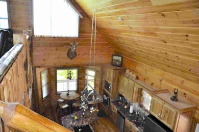 Lake House Spectacular Mountain Views w great Sunsets,Secluded,Dog Friendly,HT , , on Nottely River in North Carolina - Lakehouse Vacation Rental - Lake Home for rent on LakeHouseVacations.com