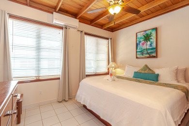 Lake House San Pedro's Hidden Treasure. Walk to Town. Beach, Pool, 18+, , on name in Belize District - Lakehouse Vacation Rental - Lake Home for rent on LakeHouseVacations.com