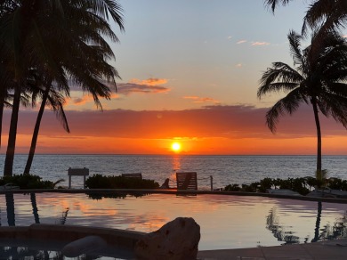 Lake House San Pedro's Hidden Treasure. Walk to Town. Beach, Pool, 18+, , on name in Belize District - Lakehouse Vacation Rental - Lake Home for rent on LakeHouseVacations.com