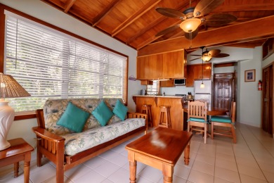 Lake House San Pedro's Hidden Treasure. Walk to Town. Beach, Pool, 18+, , on name in Belize District - Lakehouse Vacation Rental - Lake Home for rent on LakeHouseVacations.com