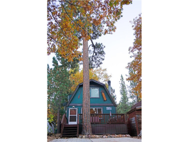 Lake House NEW HOT TUB! Steps to Forest! Close to LAKE, slopes & VILLAGE!, , on Big Bear Lake in California - Lakehouse Vacation Rental - Lake Home for rent on LakeHouseVacations.com