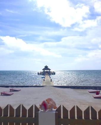 Lake House Oceanfront 2 bed2 bath Velento#2private dock, pool, free paddleboards, , on  in Belize District - Lakehouse Vacation Rental - Lake Home for rent on LakeHouseVacations.com
