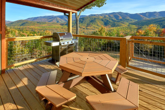 Lake House Luxurious Cabin with Amazing views from your outdoor Living Room, , on Webb Creek - Sevier County in Tennessee - Lakehouse Vacation Rental - Lake Home for rent on LakeHouseVacations.com