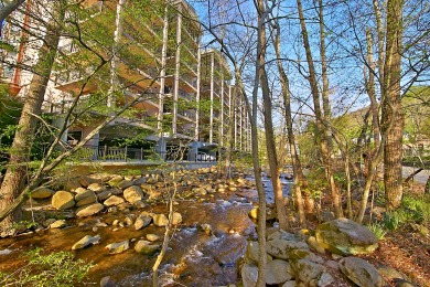 Lake House Beautiful Top Floor 2 Bedroom Condo - Minutes to Downtown - Sleeps 6, , on Powdermilk Creek - Gatlinburg in Tennessee - Lakehouse Vacation Rental - Lake Home for rent on LakeHouseVacations.com