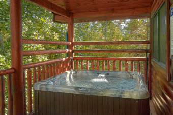 Lake House Luxury Cabin with Theater Room, 3 Decks, Pool Table and Hot Tub, , on Powdermilk Creek - Gatlinburg in Tennessee - Lakehouse Vacation Rental - Lake Home for rent on LakeHouseVacations.com