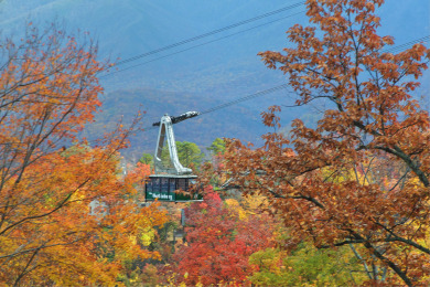 Lake House 2 Bedroom Luxury Cabin with 28 Foot Ceilings and 18 foot Rain Tower Shower, , on Powdermilk Creek - Gatlinburg in Tennessee - Lakehouse Vacation Rental - Lake Home for rent on LakeHouseVacations.com