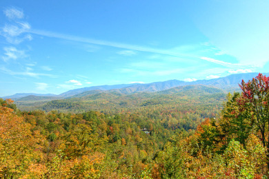 Lake House 2 Bedroom Luxury Cabin with 28 Foot Ceilings and 18 foot Rain Tower Shower, , on Powdermilk Creek - Gatlinburg in Tennessee - Lakehouse Vacation Rental - Lake Home for rent on LakeHouseVacations.com
