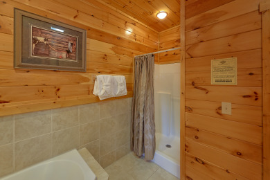 Lake House 3 King Suites, Home Theater with 8 Foot Screen and Standup Arcade Game, , on Powdermilk Creek - Gatlinburg in Tennessee - Lakehouse Vacation Rental - Lake Home for rent on LakeHouseVacations.com