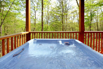 Lake House Private Home Theater Room - Mountain Views - Arts and Crafts Community!, , on Powdermilk Creek - Gatlinburg in Tennessee - Lakehouse Vacation Rental - Lake Home for rent on LakeHouseVacations.com
