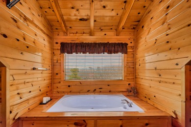 Lake House Enjoy Amazing Views and an Outdoor Seasonal Pool - Arts and Crafts Community, , on Douglas Lake in Tennessee - Lakehouse Vacation Rental - Lake Home for rent on LakeHouseVacations.com