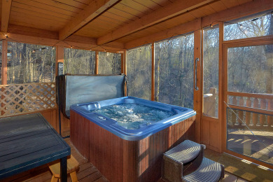 Lake House Experience an amazing themed cabin with theater room close to all the fun!, , on Douglas Lake in Tennessee - Lakehouse Vacation Rental - Lake Home for rent on LakeHouseVacations.com