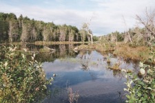 Lakehouse Vacation Rental - Lake Homes for rent on LakeHouseVacations.com, Lake property, Lake House Lake House Bowerbank Maine Vacation Rental Chalet Style House On Sebec Lake, beaver pond, on Sebec Lake in Maine - Lakehouse Vacation Rental - Lake Home for rent on LakeHouseVacations.com