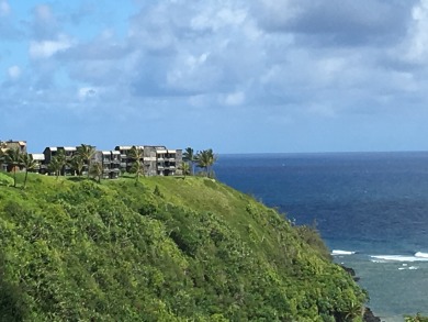 Lake House Oceanfront and updated, top floor, perfect for honeymoon, , on Kauai - Princeville in Hawaii - Lakehouse Vacation Rental - Lake Home for rent on LakeHouseVacations.com