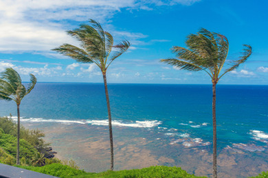 Lake House Oceanfront views, top floor privacy, bright tropical interior, , on Kauai - Princeville in Hawaii - Lakehouse Vacation Rental - Lake Home for rent on LakeHouseVacations.com