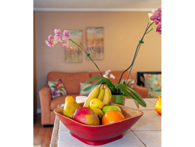 Lake House Cheerful & Affordable Studio Apartment - Walking Distance to Beaches, , on Kauai - Princeville in Hawaii - Lakehouse Vacation Rental - Lake Home for rent on LakeHouseVacations.com