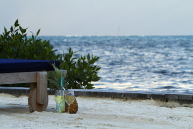 Lake House 2 bed 1 12 bath-Pool AC Dock Free Paddleboards-sleeps 6, , on  in Belize District - Lakehouse Vacation Rental - Lake Home for rent on LakeHouseVacations.com