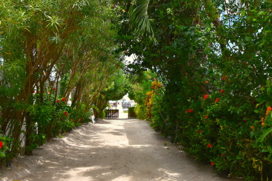 Lake House 2 bed 1 12 bath-Pool AC Dock Free Paddleboards-sleeps 6, , on  in Belize District - Lakehouse Vacation Rental - Lake Home for rent on LakeHouseVacations.com