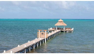 Lake House Velento Partial Oceanview #8-2 bedprivate dockbeachpoolfree paddleboards, , on  in Belize District - Lakehouse Vacation Rental - Lake Home for rent on LakeHouseVacations.com