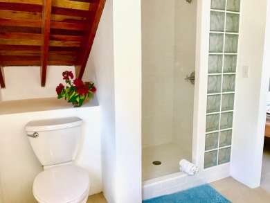Lake House Oceanfront 2 bed2 bath Velento#4,private dockbeachpoolfree paddleboards, , on  in Belize District - Lakehouse Vacation Rental - Lake Home for rent on LakeHouseVacations.com