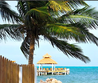 Lake House Oceanfront Penthouse 3 bed3 ba Velento#3 private dockpoolfree paddleboards, , on  in Belize District - Lakehouse Vacation Rental - Lake Home for rent on LakeHouseVacations.com
