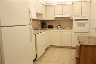 Lake House Spacious condo w views of ocean & park WIFI + Parking, , on Atlantic Ocean - Sunny Isles Beach in Florida - Lakehouse Vacation Rental - Lake Home for rent on LakeHouseVacations.com