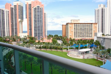 Lake House Spacious condo w views of ocean & park WIFI + Parking, , on Atlantic Ocean - Sunny Isles Beach in Florida - Lakehouse Vacation Rental - Lake Home for rent on LakeHouseVacations.com