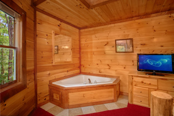 Lake House Enjoy a Private Indoor Pool and Home Theater Room - Sleeps 10!, , on Webb Branch - Cocke County in Tennessee - Lakehouse Vacation Rental - Lake Home for rent on LakeHouseVacations.com