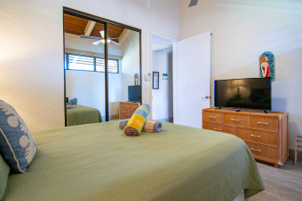 Lake House Oceanfront Penthouse w Panoramic Views + AC, , on Maui - Lahaina in Hawaii - Lakehouse Vacation Rental - Lake Home for rent on LakeHouseVacations.com