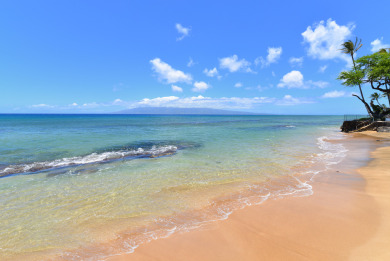 Lake House Great Specials! Ground Floor. Next to Beach and Ocean access! # 108, , on Maui - Lahaina in Hawaii - Lakehouse Vacation Rental - Lake Home for rent on LakeHouseVacations.com