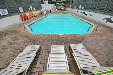 Lake House Attractive Condo wFull Kitchen & Indoor Pool B327 at The Myrtle Beach Resort, , on Atlantic Ocean - Myrtle Beach in South Carolina - Lakehouse Vacation Rental - Lake Home for rent on LakeHouseVacations.com