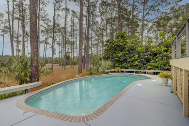 Lake House 18 Audubon Pond - Beautiful Marsh Views, Private Pool and an EV Charger too!, , on  in South Carolina - Lakehouse Vacation Rental - Lake Home for rent on LakeHouseVacations.com