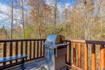 Lake House Cozy 2 Bedroom Log Cabin with Hot Tub, , on Powdermilk Creek - Gatlinburg in Tennessee - Lakehouse Vacation Rental - Lake Home for rent on LakeHouseVacations.com