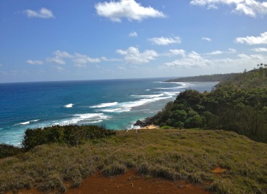 Lake House Puamana 25AAC, spacious corner unit,8min hike to Anini,walk to shopping&ampmore, , on  in Hawaii - Lakehouse Vacation Rental - Lake Home for rent on LakeHouseVacations.com