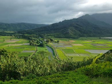 Lake House Puamana 25AAC, spacious corner unit,8min hike to Anini,walk to shopping&ampmore, , on  in Hawaii - Lakehouse Vacation Rental - Lake Home for rent on LakeHouseVacations.com