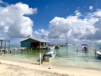 Lake House Cute Home, Walk to Everything, Beach Walk Out, DiverAngler Paradise., , on  in Belize District - Lakehouse Vacation Rental - Lake Home for rent on LakeHouseVacations.com