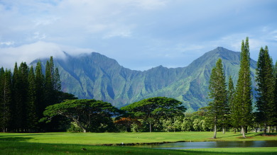 Lake House Air-Conditioned, Elegant and Spacious - Golf Course View, Walk to Beach!, , on  in Hawaii - Lakehouse Vacation Rental - Lake Home for rent on LakeHouseVacations.com