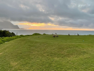 Lake House Air-Conditioned, Elegant and Spacious - Golf Course View, Walk to Beach!, , on  in Hawaii - Lakehouse Vacation Rental - Lake Home for rent on LakeHouseVacations.com