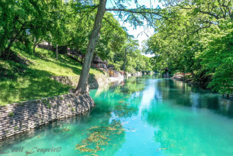 Lake House Beautiful 22.5 condo on the Comal River!, , on Comal River - New Braunfels in Texas - Lakehouse Vacation Rental - Lake Home for rent on LakeHouseVacations.com