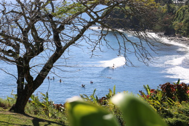 Lake House Oceanfront in Hilo Hale Kai Suites Bamboo Room - King Bed, Private Bathroom, , on Big Island - Hilo in Hawaii - Lakehouse Vacation Rental - Lake Home for rent on LakeHouseVacations.com