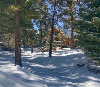Lake House CUTE log cabin in Upper Moonridge, in the forest Walk to SLOPES CLOSE to LAKE, , on Big Bear Lake in California - Lakehouse Vacation Rental - Lake Home for rent on LakeHouseVacations.com