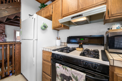 Lake House EV Charging, MOUNTAIN VIEWS! Close to SLOPES, VILLAGE, & ZOO! FREE 3rd NIGHT!, , on Big Bear Lake in California - Lakehouse Vacation Rental - Lake Home for rent on LakeHouseVacations.com