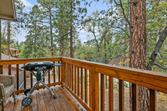 Lake House NEW CABIN - Close to Slopes, Bear Mountain, Golf Course, Zoo!, , on Big Bear Lake in California - Lakehouse Vacation Rental - Lake Home for rent on LakeHouseVacations.com