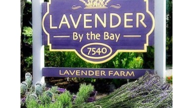 Lake House Cottage fields of Lavender by the Sea 5min Greenport Shelter Island, , on  in New York - Lakehouse Vacation Rental - Lake Home for rent on LakeHouseVacations.com